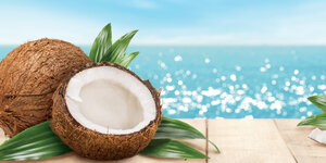 LITTLE TREES Coconut