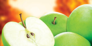 LITTLE TREES Green Apple