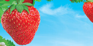 LITTLE TREES Strawberry