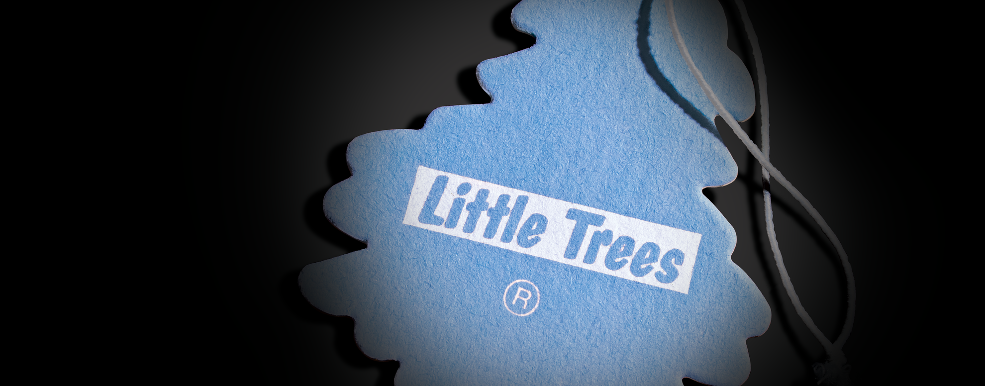 LITTLE TREES Summer Cotton TREE